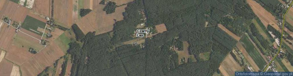 Zdjęcie satelitarne Czarny Las ul.